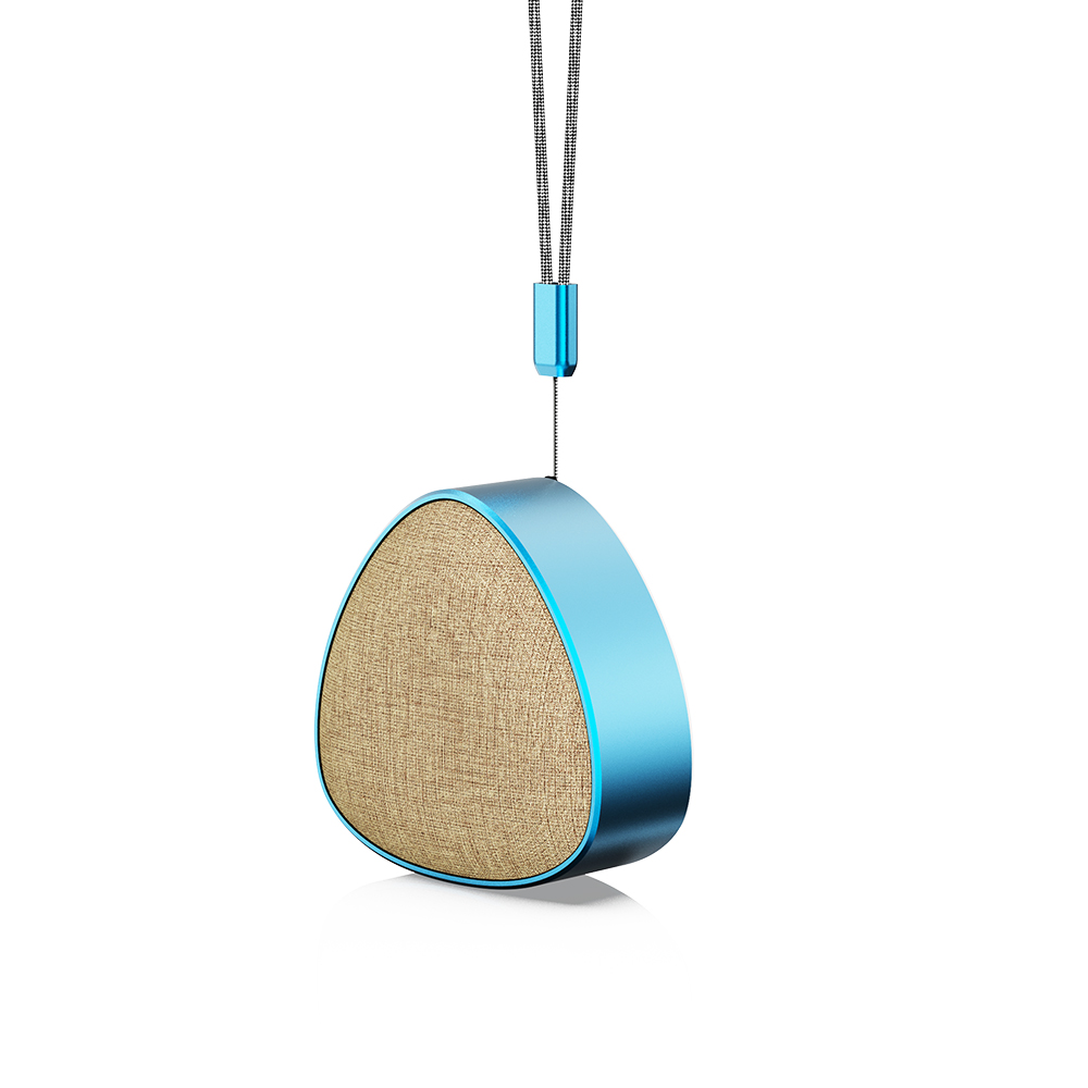 Portable Audio System